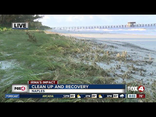 Naples Beach calm after Hurricane Irma