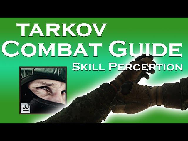 Escape From Tarkov BASICS TO COMBAT Guide - Skill: Perception