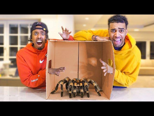 WHAT'S IN THE BOX CHALLENGE FT BETA SQUAD (LIVE ANIMALS)