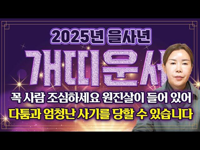 2025년 을사년 개띠 운세 꼭 사람 조심하세요! 사람과 엄청난 다툼이 생길 수 있어요! 이것만 조심하면 초대박납니다! 46년생 58년생 70년생 82년생 94년생 개띠 운세!