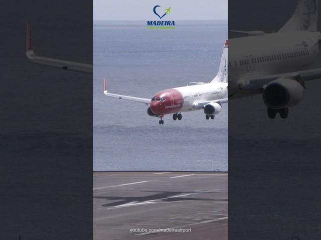 Strong Wind Landing Norwegian Boeing 737 at Madeira Airport