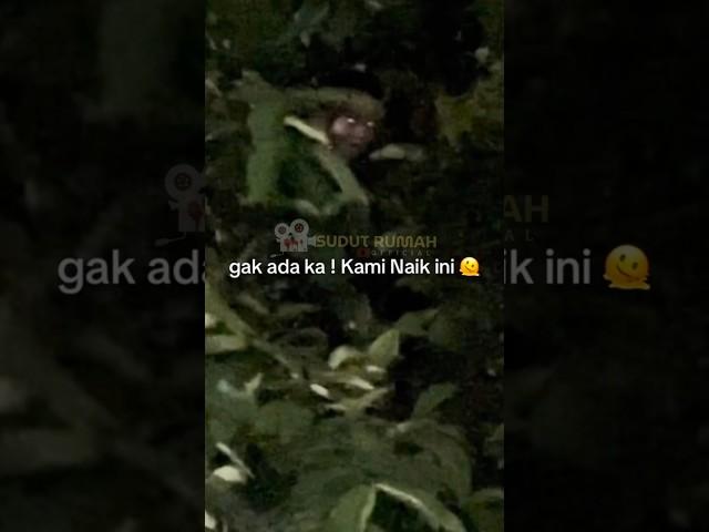 ITU APAAN C0K #viral #shorts #jin #ghost #pocong #kuntilanak #kuyang #misteri #hantu #trending