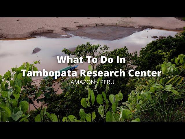 What to do in Tambopata Research Center - Tambopata National Reserve | AMAZON - PERU