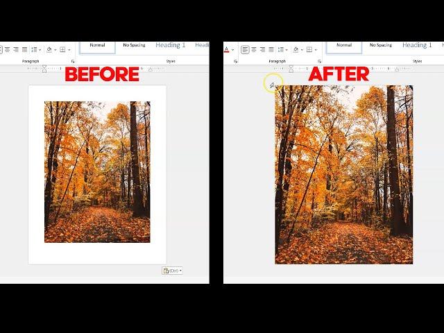 How to Print to Edge of Document in Microsoft Word | BORDERLESS PRINTING OF IMAGES TO EDGE OF PAGE