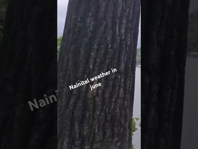 #nainital weather in June #traffic to much
