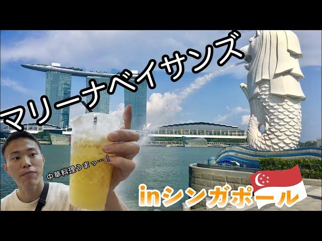 マリーナベイサンズのショッピングモールの中華ヌードルが最高に美味かった/in singapore