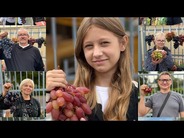 13.09.2024. Часть 2/2 Беларусь выставка винограда.Самохваловичи.