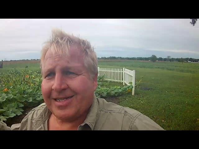 Small Ohio Vegetable Garden Final Progress Giant Atlantic Pumpkin