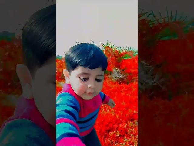 YouTube short video#kuhu ki duniya#new trending song#viralshots video