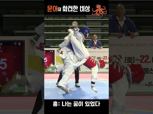 문어의 꿈