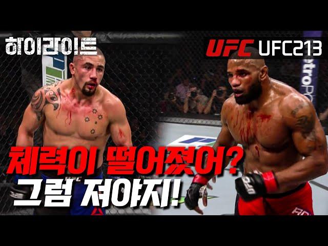 [UFC 하이라이트] 벨트를 원하는 자. 5라운드의 무게를 견뎌라ㅣUFC 213(2)