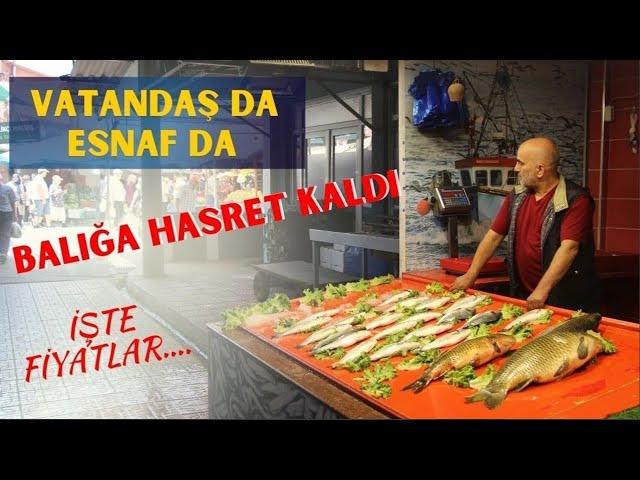 VATANDAŞ DA ESNAF DA BALIĞA HASRET KALDI! (24.06.2024)