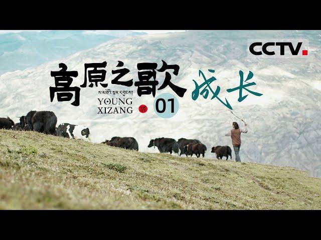 《走进西藏·高原之歌》EP1 人生第一课 故事就从成长开始吧——成长【CCTV纪录】