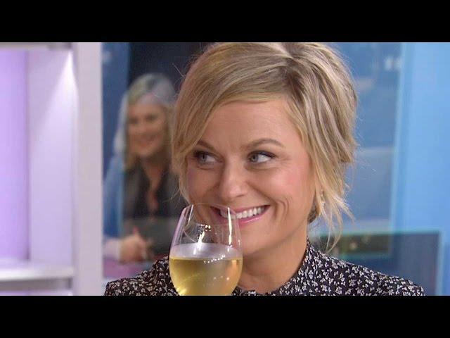 Amy Poehler Interview: New Memoir 'Yes Please' | TODAY