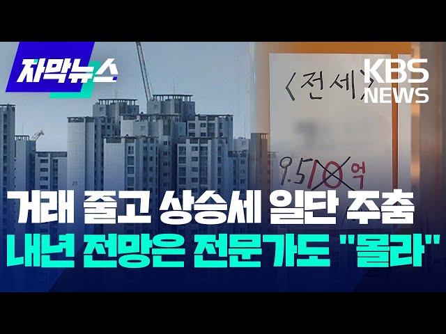 [자막뉴스] 일단 멈춘 집값…내년 전망은 전문가도 "판단 곤란"/ KBS 2024.12.23.