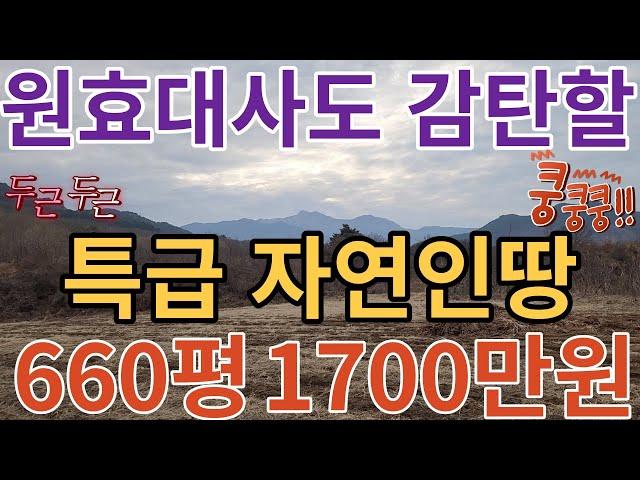 찾았다~ ,특급 자연인땅 발견 1000만이하 도전~ 660평1700만원(더보기참고)