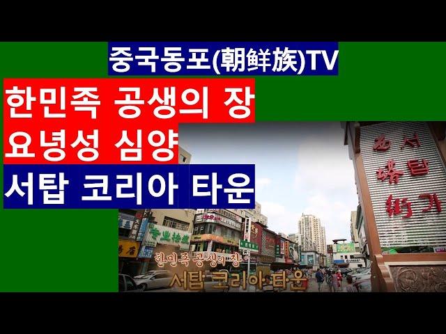 [중국동포TV181]한민족 공생의 장, 요녕성 심양 서탑 코리아 타운.