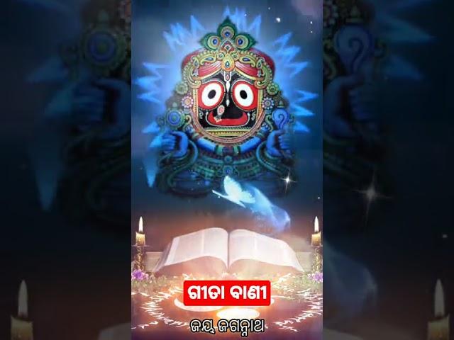 gita bani odia tips shorts