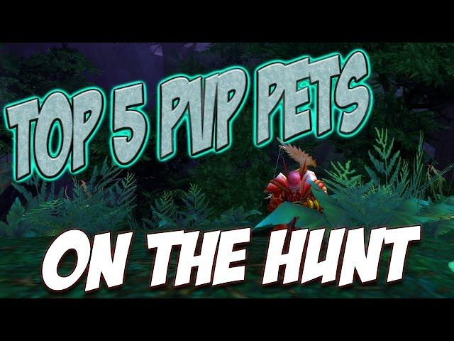 Ravenclaw - "On The Hunt" TOP 5 PVP Common to Rare hunter pets WoW Legion 7.0.3