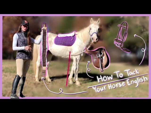 HOW TO TACK YOUR HORSE ENGLISH | Horses 101 Basics