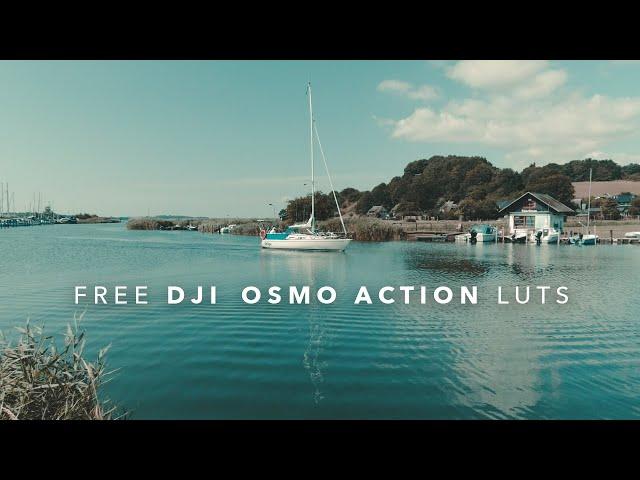 D-Cinelike | FREE DJI Osmo Action CINEMATIC color grading LUTS! | Osmo Pocket & DJI Mavic Pro