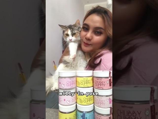 Kucing Mix Mainecoon kayak gimana makananya??