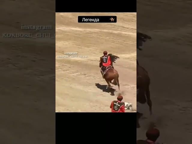 Месси кок бору Көк бөрү улак #horse #kyrgyzstan #equestrian #rek #automobile #бойка #history