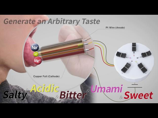 [CHI2020] Norimaki Synthesizer: Taste Display Using Ion Electrophoresis in Five Gels