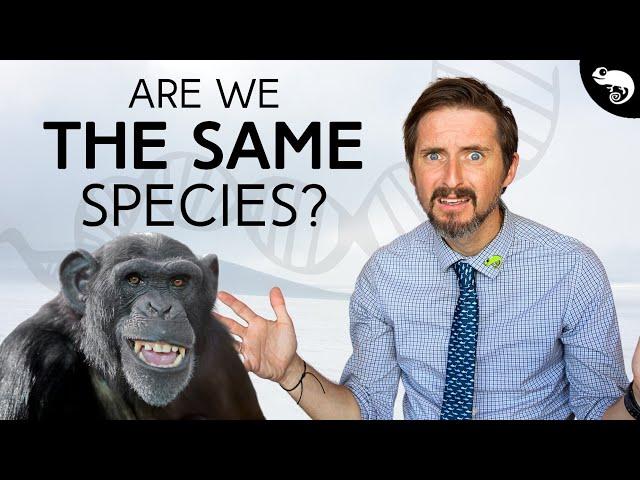 What is a Species? Nobody Knows!