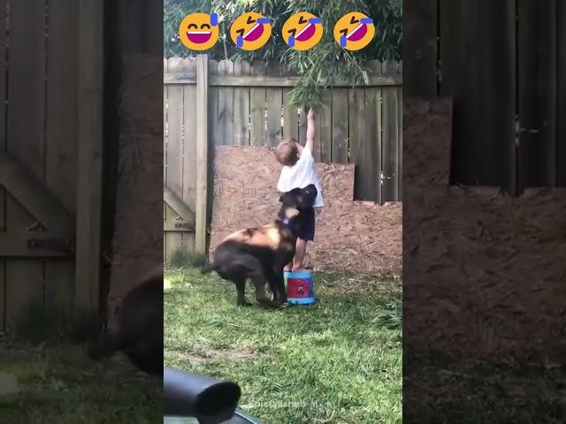 Big fails  #funny #memes#fails #Epicfailshub-ai