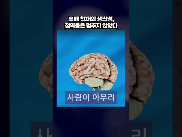 “정약용은 유배지에서 500권 넘게 책을 썼다”  #병맛지식 #정약용500권 #유배지천재 #Shorts