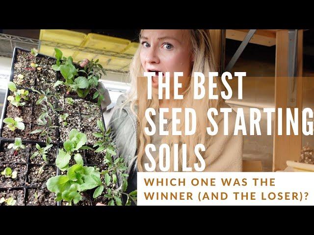 We tested popular seed starting soils: you'll be surprised to learn which one did best!