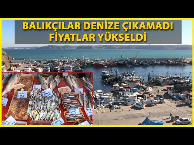 Lodos Balıkçılığı Vurdu, Balıkçılar Günlerdir Denize Açılamıyor