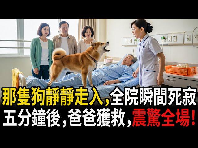 整間醫院在這隻狗靜靜走進來的瞬間陷入死寂—五分鐘後，我爸爸竟奇蹟獲救，震驚了在場所有人！