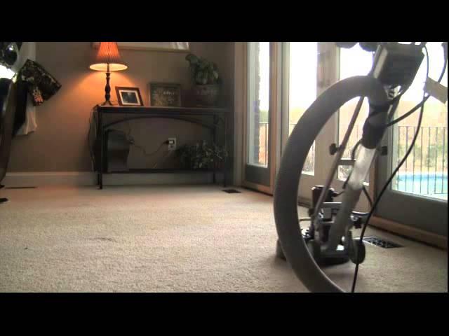 Carpet Cleaning Tampa Bay by High Steam Carpet Cleaning Tampa, Brandon, Land O Lakes, Wesley Chapel