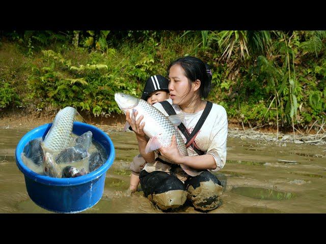 The unexpected joy of a single mother and her baby - catching many giant fish in an abandoned pond