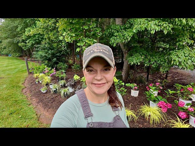 Designing & Planting a Gorgeous New Part Sun Garden