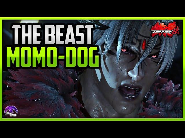 T8 ▰ MOMODOG's DEVIL JIN The Beast in TEKKEN 8 Season 2 !!【Tekken 8 High Level Gameplay】