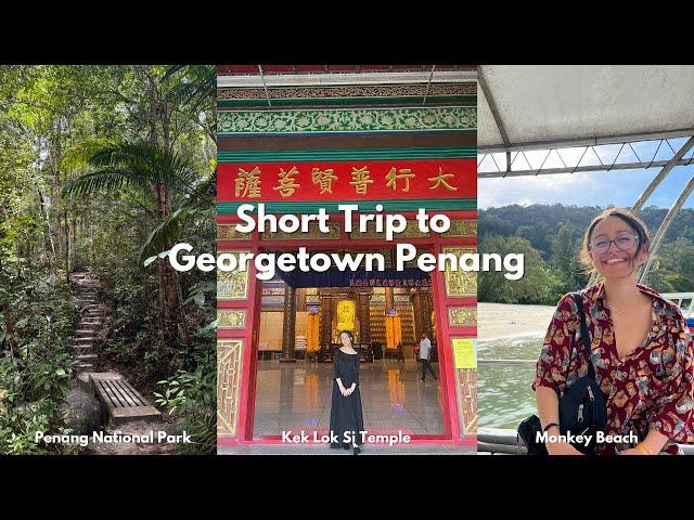 Short Trip to Georgetown, Malaysia | Hin Market, Monkey Beach, National Park, Night Life