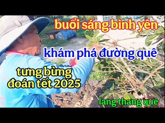 lang thang quê,khám phá vùng quê buổi sáng bình yên,lặt lá mai đón tết 2025