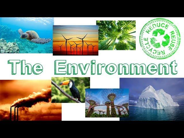 The Environment . Learn English