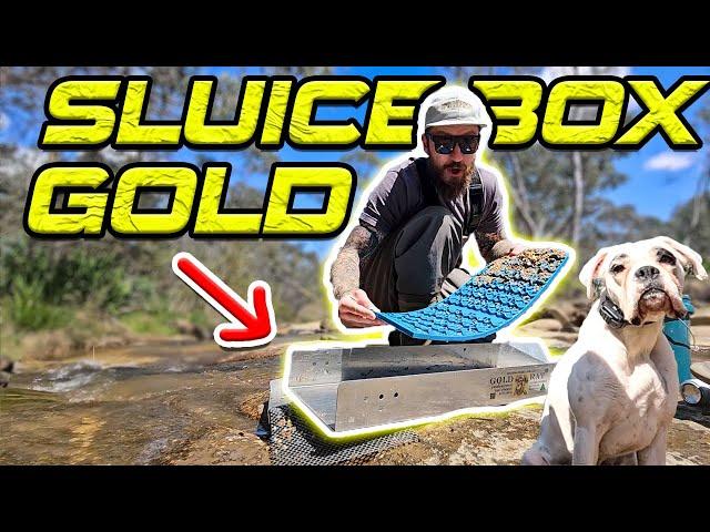 Use These to Mine Gold! | A Reedy Creek Prospecting Adventure