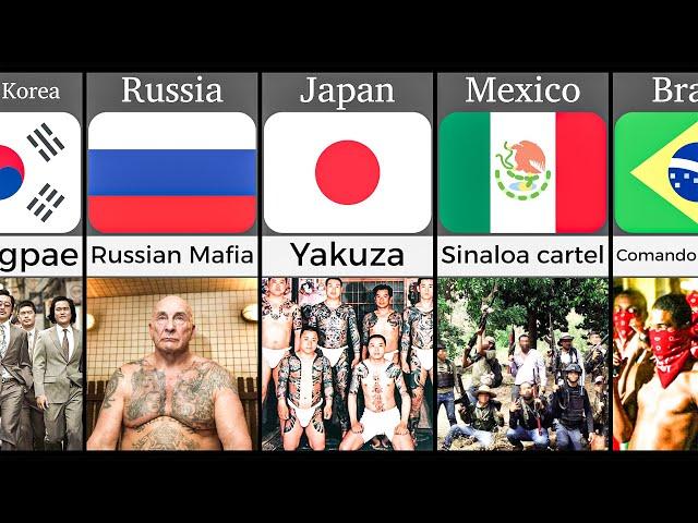 Dangerous Gangs From Different Countries