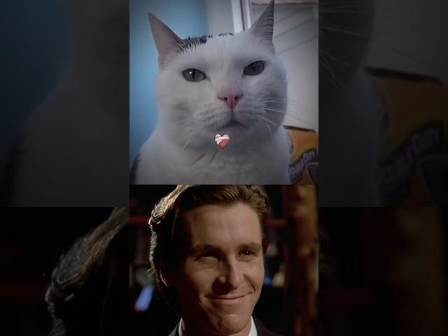 Real Sigma Cat #94