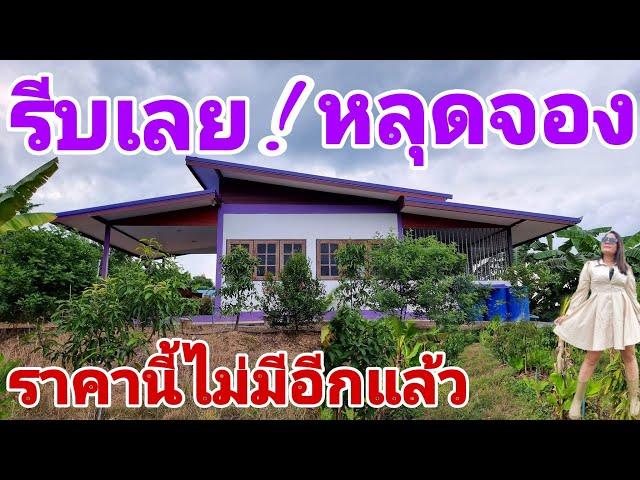 ด่วน หลุดจอง ราคาเดิม [EP.746] ขายถูกมาก #สวนทุเรียน200ต้น #บ้านสวนพร้อมอยู่