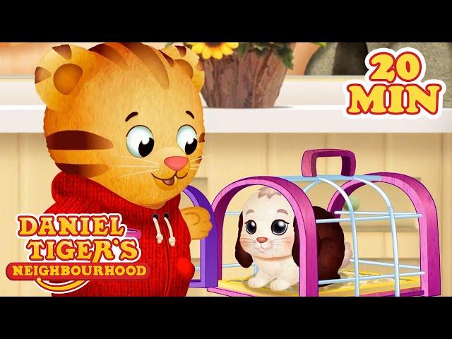 Daniel Brings Snowball the Bunny Home | Cartoons for Kids | Daniel Tiger