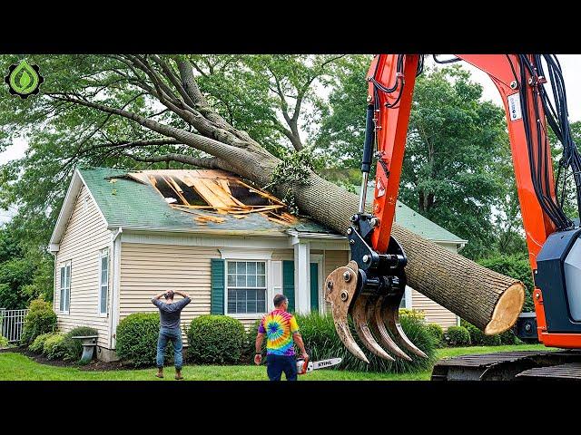 Extreme Dangerous Fastest Big Chainsaw Cutting Tree Machines | Monster Stump Removal Excavator #93