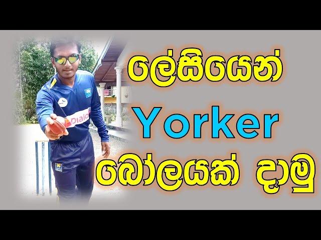 How to Bowl Yorker Ball | Fielding JayA