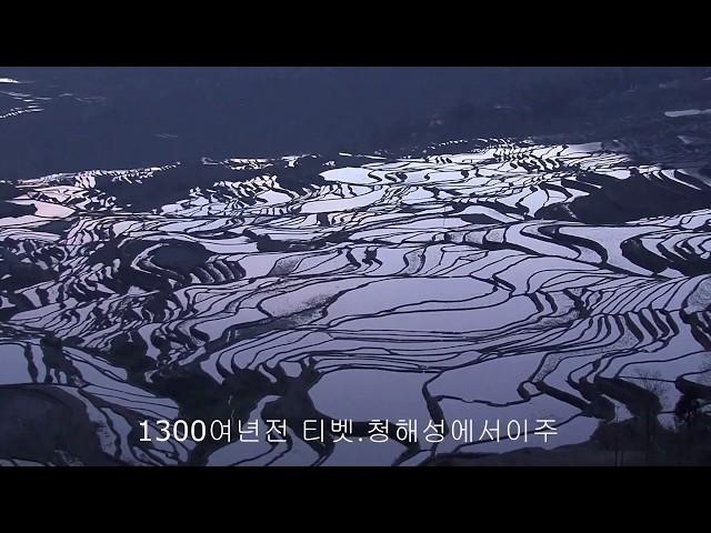 . 운남성 원양. 다락논.EBS세계테마기행방송 된곳 . 세계문화유산.빛의 각도에 따라층층으로 이루어진 다랭이 논에경이로운 풍경을 연출