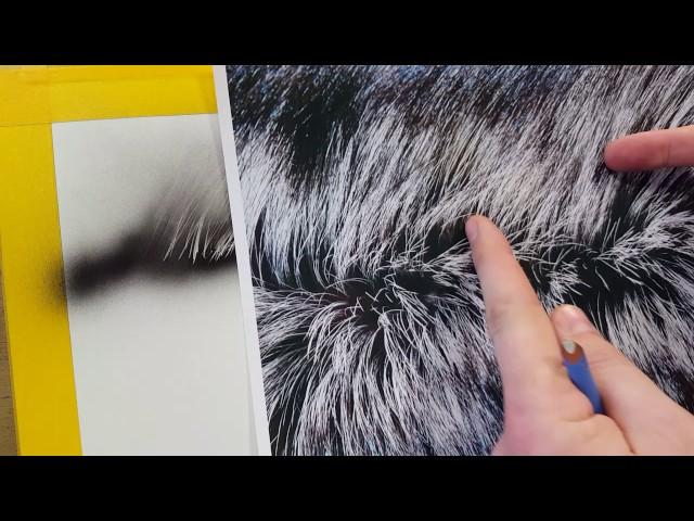 The Airbrush Academy Guide to Airbrushing Realistic Fur